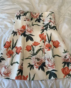 Showpo Mini Dress thumbnail 1