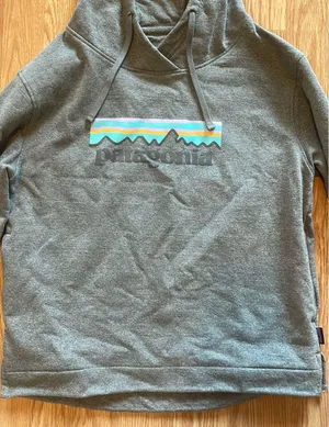 Patagonia Uprisal Logo Hoodie thumbnail 3