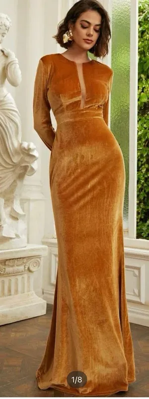 Miss Ord Velvet Gown thumbnail 1