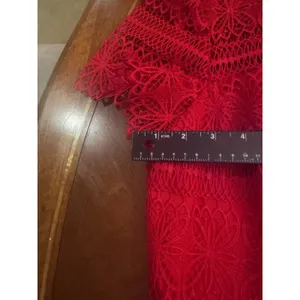 ANTONIO MELANI Red Ochre Lace Overlay Midi Dress, Mermaid-styleHem, Lined, Sz 10 thumbnail 9