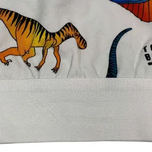 TomboyX Bralette Women Small White Rainbow Dinosaur Print Scoop Neck Kidcore thumbnail 4