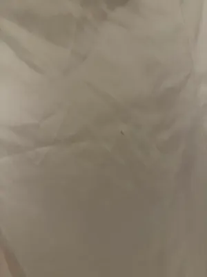 Club L Off The Shoulder White Gown thumbnail 2