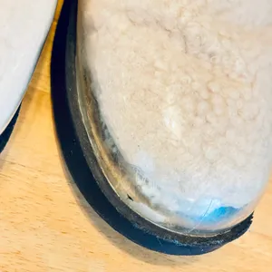 UGG Australian Shepherd AVA clear waterproof sheep wool lined rain boots booties thumbnail 6