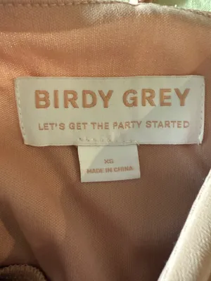 Birdy Grey Adele Dress in Chiffon thumbnail 5
