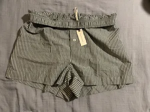 The Wren Boxer Anthropologie Shorts thumbnail 4