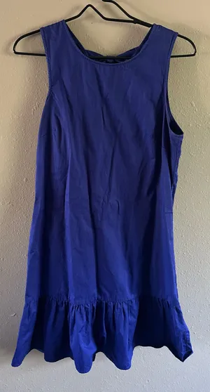 J.CREW Blue Sleeveless Ruffle Bow Short A-Line Dress Round Neck Size M thumbnail 2