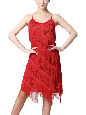 Women Salsa Latin Dance Dress Sequin Tassel Fringe Flapper Dress 1920s Costume S thumbnail 1