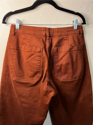 Everlane Utility Barrel Pants Rosewood Terracotta High Rise Wide Cropped Pants thumbnail 9
