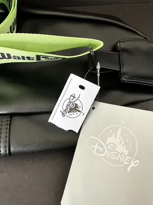 Disney Parks Walt Disney World Sling Bag NEW thumbnail 4