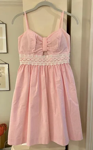 Lilly Pulitzer Seersucker Mini Dress thumbnail 1