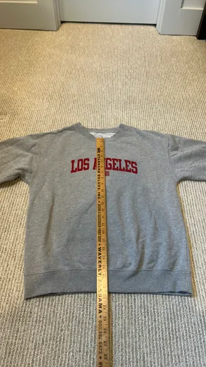 Hi Res Los Angeles Hoodie from Nordstrom M thumbnail 3