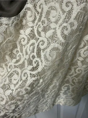 Kensie Cream Lace Panel Mini Dress with Brown Contrast thumbnail 4