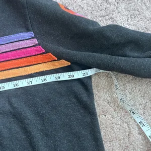 Aviator Nation X Disney Animal Kingdom 5 Stripe Charcoal Hoodie Size Medium thumbnail 3