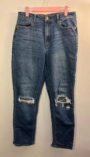 American Eagle Destroyed Mom Jean Size 6 thumbnail 1