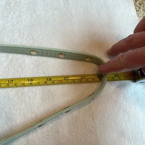 Rebecca MINKOFF Sherbet Green Leather Crossbody Purse Handbag with gold chain thumbnail 15