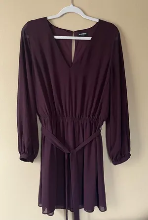 Elegant Deep Purple Sheer Long-Sleeve Dress thumbnail 1