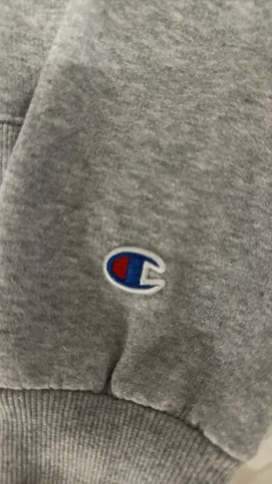 Tennessee Champion Hoodie thumbnail 4