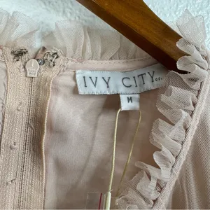 Ivy City Co NWT‎ Last Songbird Pink Fairy Whimsical Modest Midi Dress Medium thumbnail 9