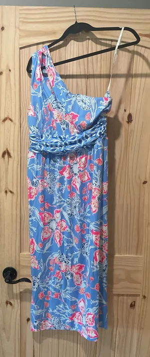 Lilly Pulitzer Dress thumbnail 1