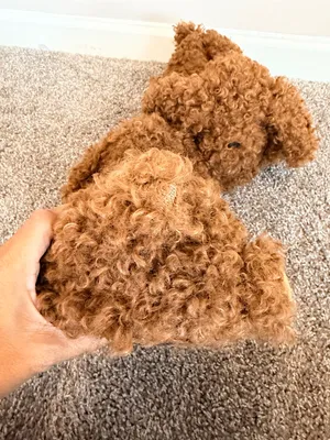 NWT Skims Curly dog faux fur slippers in chai size 38 new in bag thumbnail 10