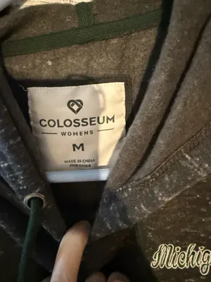 Michigan State Colosseum Hoodie thumbnail 3