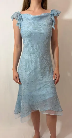 Light Blue Rose Floral Velvet Ruffle Japanese Vintage Formal Coquette Dress thumbnail 1