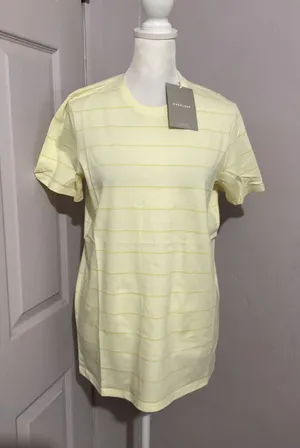 Everlane Organic Cotton Crew Neck Short Sleeve Yellow Striped T-Shirt L thumbnail 1