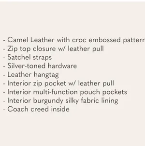 Coach Ashley Croc Embossed Bag thumbnail 9