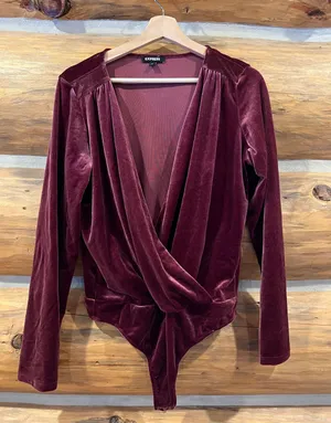 Express Velvet V Neck Bodysuit thumbnail 2