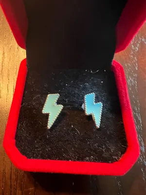 Stainless Steel Silver Plated Boho-Western Style Stud Earrings thumbnail 2