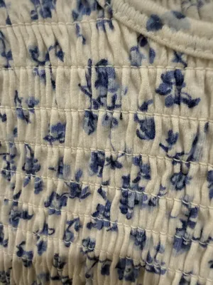 Hollister Cream Top with Blue Floral Smocking thumbnail 3