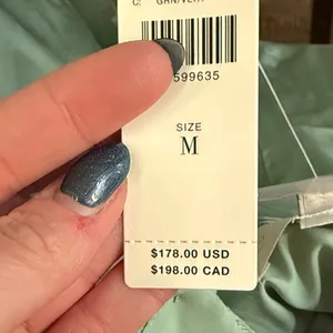 Anthropologie Corey Lynn Carter mint/sage silk slip dress thumbnail 7