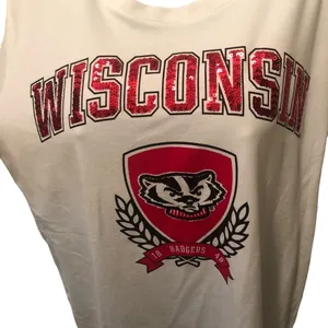 Pink VS Collegiate Collection WISCONSIN BADGERS White Crew Neck Tee Sz. M BLING thumbnail 4
