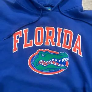 Champion Brand University of Florida Gators Hoodie Sweatshirt thumbnail 4