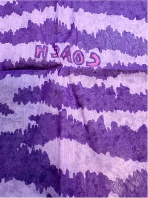 Coach Poppy Zebra Square Scarf 21”x21” Y2K thumbnail 2