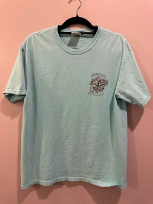 Comfort Colors Curaçao Short Sleeve Tee Greenish Blue thumbnail 1
