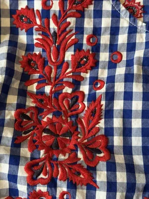 Zara Sz S Embroidered Gingham Checked Blouse Bell Sleeve Blue Red Statement Top thumbnail 4