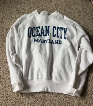 champion crewneck  thumbnail 1