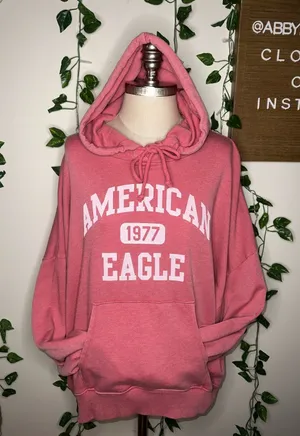 American Eagle Light Red Oversized Pullover Hoodie thumbnail 1
