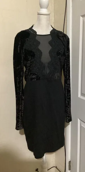 French Connection Black Velvet Lace Sheer Illusion Long Sleeve Dress Size 12 thumbnail 1