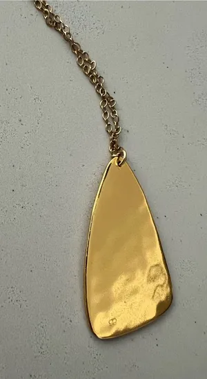 Gorjana Gold long hammered Necklace thumbnail 1