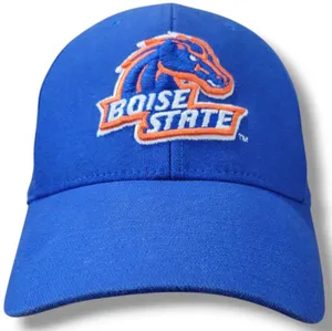 Vintage Nike Hat OSFM Vintage Boise State Hat BSU Broncos Embroidered Embroidery Unisex Hat thumbnail 1
