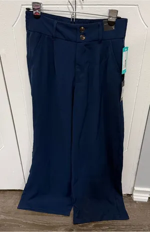 NWT Dictionary Blue Lolita Wide Leg Pant thumbnail 1