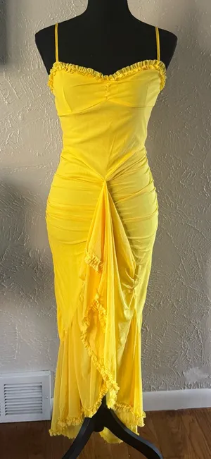 💛TIANMI Mesh Slip Ruffle Maxi Dress💛 ~M NWT thumbnail 1