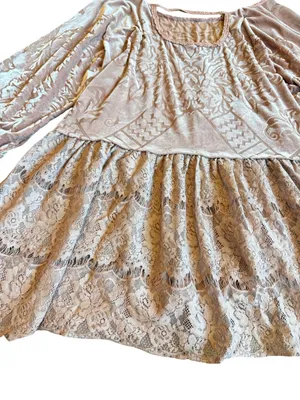 Free People Burnout Top Shirt Pink Blouse Crushed Velvet Flowy Tiered Size Small thumbnail 11
