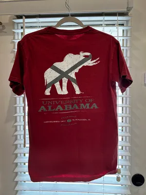 Comfort Colors Bama Tee thumbnail 1