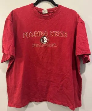 Comfort Colors Soffe Vintage Florida State Seminoles Tee thumbnail 1