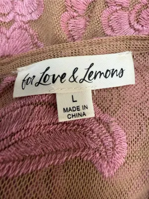 For Love & Lemons Temecula Mesh Embroidered Mini Dress in Nude Rose Pink Large thumbnail 12