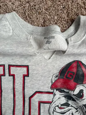 Hollister Crewneck Sweatshirt thumbnail 2