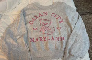 Hollister Crewneck Sweatshirt Grey thumbnail 2